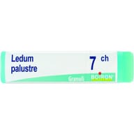 LEDUM PALUSTRE 7CH GLOBULI 1G