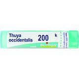 THUYA OCCIDENT 200K GRANULI 4G