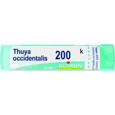 THUYA OCCIDENT 200K GRANULI 4G