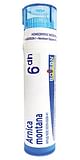 ARNICA MONTANA 6DH DILUIZIONE HAHNEMANNIANA DECIMALE GRANULI 4G