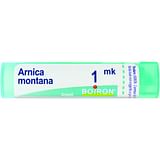 ARNICA MONTANA MK DILUIZIONE KORSAKOVIANA GRANULI 4G