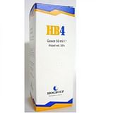 HB 4 AERFLOG 50 ML