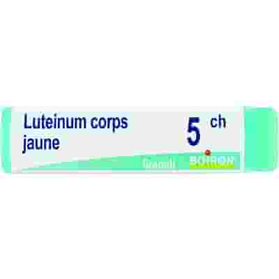 LUTEINUM CORPS JAUNE 5CH GLOBULI 1G