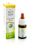 CHESTNUT BUD GOCCE 10 ML