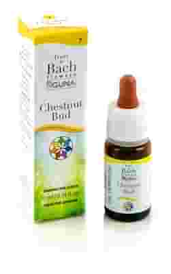 CHESTNUT BUD GOCCE 10 ML