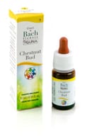 Fiori di Bach Chestnut Bud in gocce, 10ml