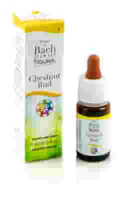 Fiori di Bach Chestnut Bud in gocce, 10ml