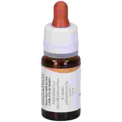 WILD OAT GUN GOCCE 10 ML PREPARAZIONE