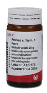PRUNUS S FERM C FERRO 20 G GLOBULI WALA