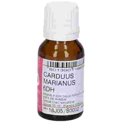 CARDUUS MARIANUS 6DH GOCCE 10ML