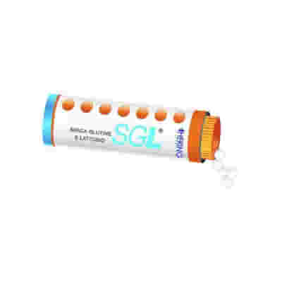 APIS MELLIFICA SGL 9CH 4 G