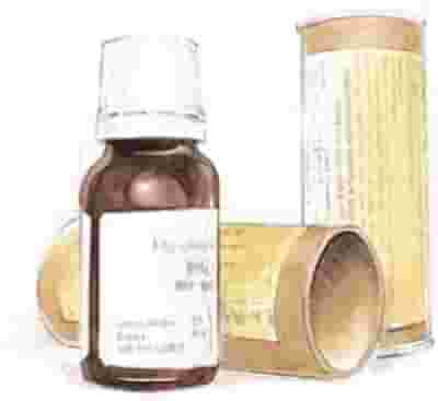 FEE PINO 15 ML