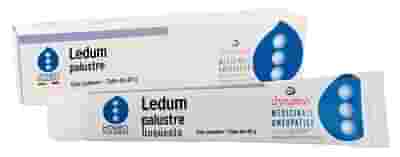 LEDUM PALUSTRE HOMEOPHARM UNGUENTO 40 G
