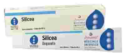 SILICEA POMATA 30 GR