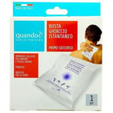 FARVISAN GHIACCIO ISTANTANEO 1 PEZZO