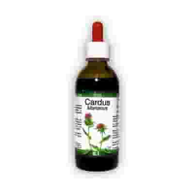 Integratore Cardus Marianus per il fegato, soluzione 50ml