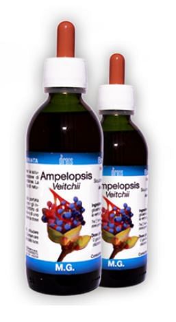 Ampelopsis Veitchii Macerato Glicerico 50 Ml