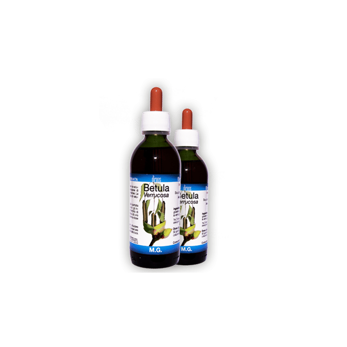 BETULA PUBESCENS 50 ML MACERATO GLICERICO