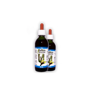 BETULA PUBESCENS 50 ML MACERATO GLICERICO