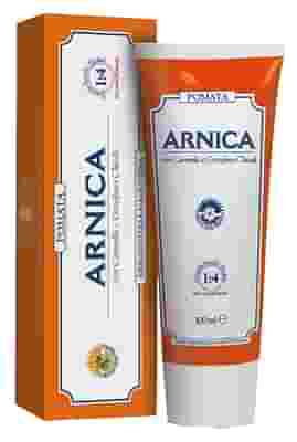 ARNICA FORTE POMATA 100 ML