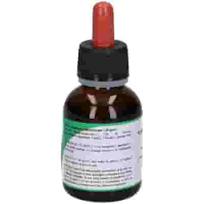 Macerato Glicerico MSA Sequoia Gigantea 50ml
