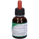 MSA SEQUOIA GIGANTEA 50 ML