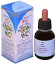 MSA ROSA CANINA 50 ML