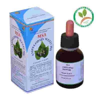 MSA AMPELOPSIS WEITC 50 ML