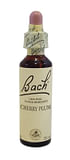 BACH CENTER ESS CHERRY PLUM20M