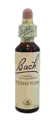 BACH CENTER ESS CHERRY PLUM20M
