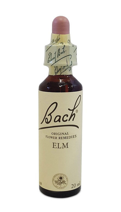 Bach Center Ess Elm 20 Ml