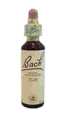 BACH CENTER ESS ELM 20ML