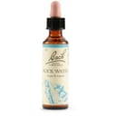 BACH CENTER ESS GENTIAN 20ML