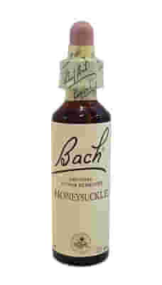 BACH CENTER ESS HONEYSUCKLE 20