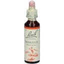 BACH CENTER ESS MIMULUS 20ML