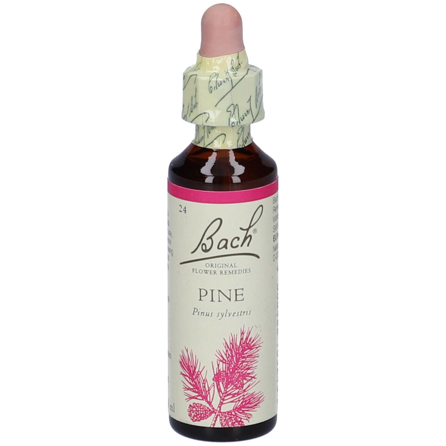 Bach Center Ess Pine 20 Ml