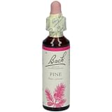 BACH CENTER ESS PINE 20ML