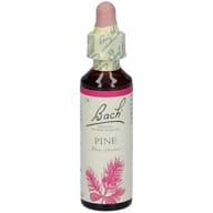 BACH CENTER ESS PINE 20ML