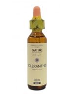 BACH CENTER ESS SCLERANTUS20ML