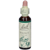 BACH CENTER ESS WALNUT 20ML