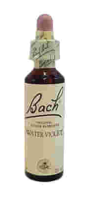 BACH CENTER ESS WATER VIOLET20