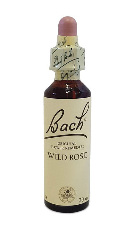 Bach Center Ess Wild Rose 20 Ml