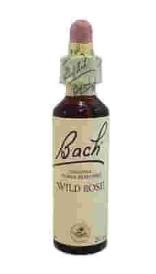 BACH CENTER ESS WILD ROSE 20ML