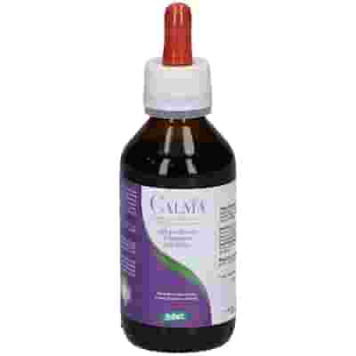 ZEF11 CALMA PLANT STV