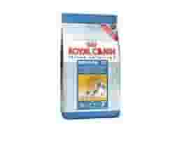 Crocchette per gatti indoor Feline Health Nutrition 400g