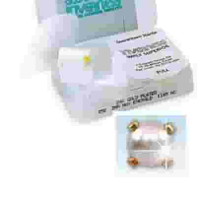 INVERNESS ORECCHINI IN040 PERLA GP 4MM