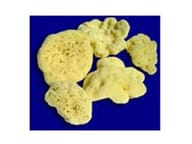 ROSENFELD SPUG FINE BAGNO 10CM