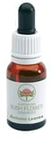 AUTUMN LEAVES GOCCE 15 ML