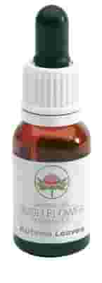 AUTUMN LEAVES GOCCE 15 ML
