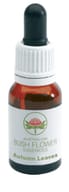 Gocce Autumn Leaves Australian Bush Flower Essences 15ml